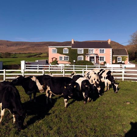 Murphys Farmhouse B&B Castlemaine Zewnętrze zdjęcie