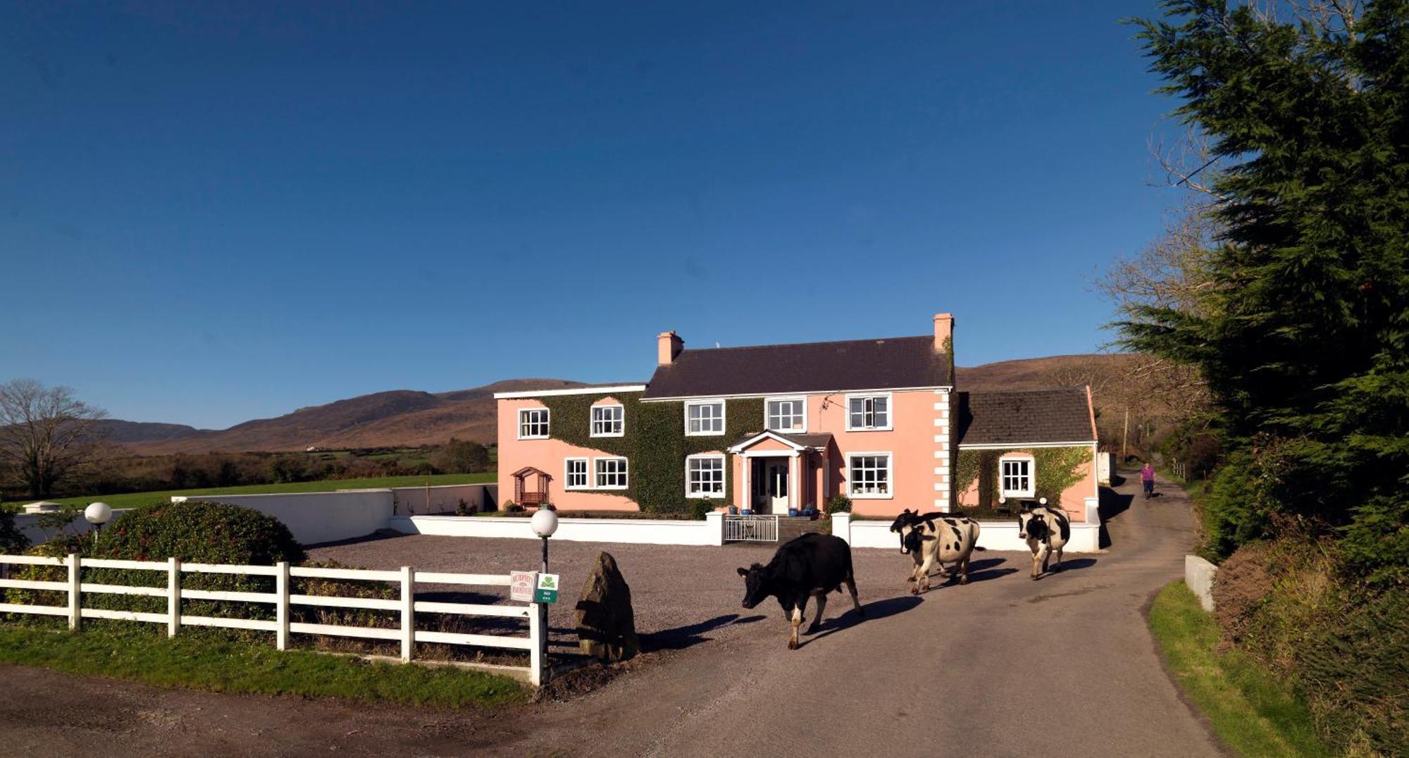 Murphys Farmhouse B&B Castlemaine Zewnętrze zdjęcie