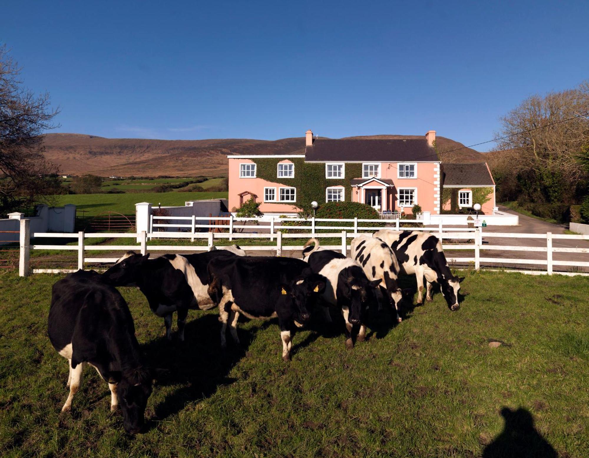 Murphys Farmhouse B&B Castlemaine Zewnętrze zdjęcie